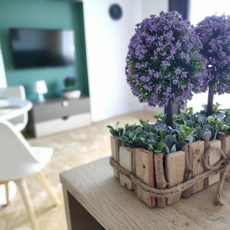 Apartament Karpaty Krynica Zdroj Bagian luar foto