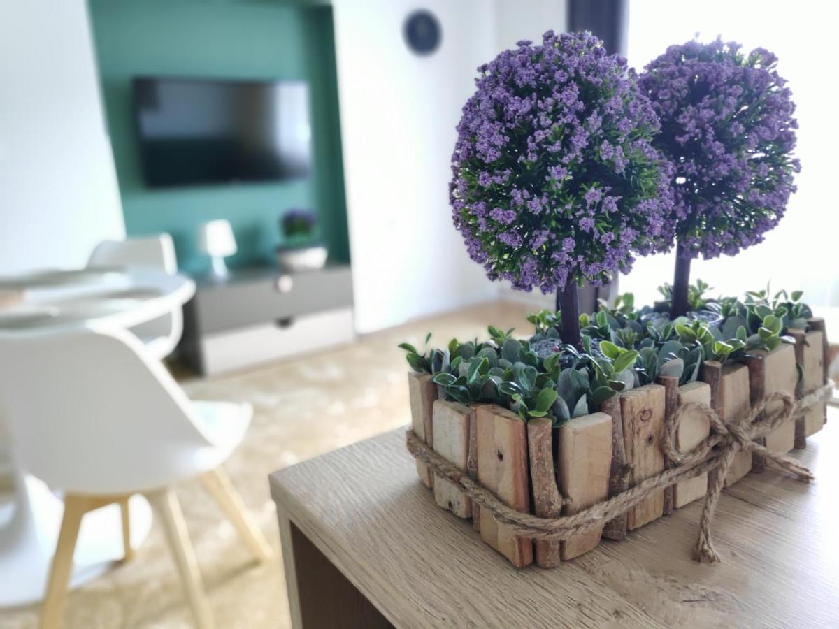 Apartament Karpaty Krynica Zdroj Bagian luar foto